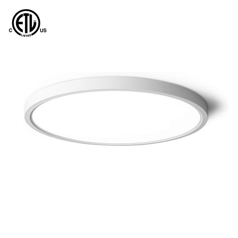 16" Ceiling Lights